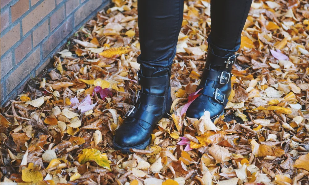 Classic fall boots