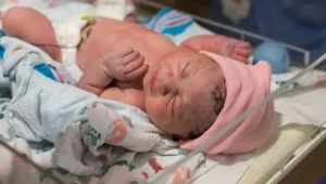 Essential Paperwork for a Newborn Baby: