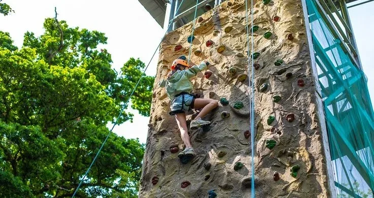 Conclusion: Find Your Perfect Climbing Gym DC