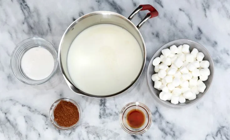 Ingredients for the Best Easy Hot Chocolate Recipe