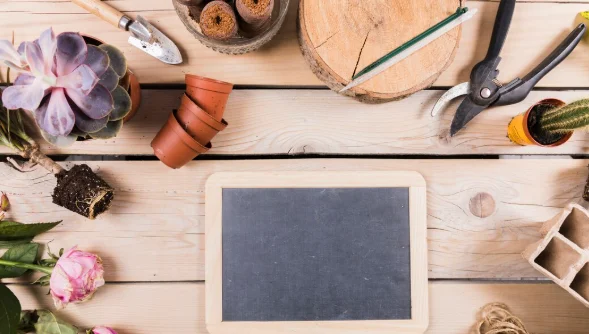 Flat lay gardening composition with slate template-diy crafts for home decor